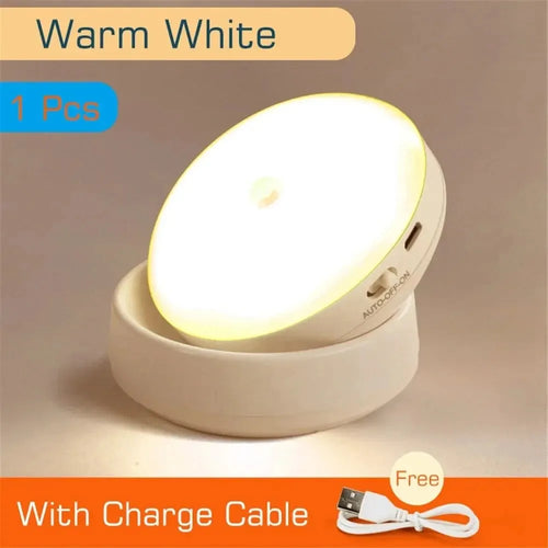 GlowEase USB Rechargeable Motion Sensor Night Light
