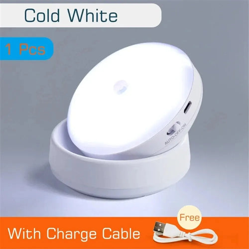 GlowEase USB Rechargeable Motion Sensor Night Light