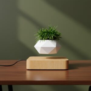 Levitating Magnetic Bonsai Flowerpot with Rotation